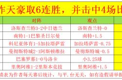 瑞典队豪取胜利，挺进淘汰赛